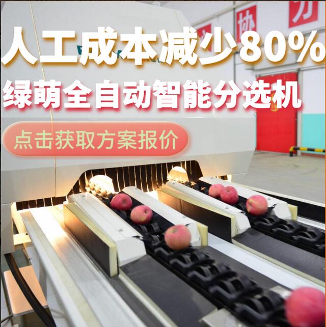 綠萌是水果智能分選設備國家高新技術企業(yè),對水果采后處理提供全套解決方案。綠萌水果分選機可進行大小重量分級、外觀顏色分選、內(nèi)部品質糖度檢測。提供全自動水果分選設備,水果選果機,智能水果分選機,全自動水果分選機,水果分級機,小型水果分選機，水果分級機,水果稱重分選機,水果重量分選機,水果大小分選機,水果顏色分選機,水果糖度分選機,配套水果清洗機、水果洗果保鮮機、水果包裝機、水果消毒滅菌殺菌機,水果打蠟機。更多水果分選方案報價,小型水果選果設備價格、水果分級機怎么樣、口碑好質量好的水果選果機、了解高性能水果分選機多少錢,咨詢客服免費獲取