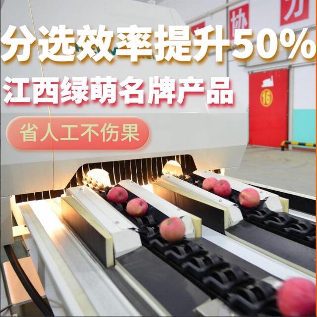 綠萌是水果智能分選設備國家高新技術企業(yè),對水果采后處理提供全套解決方案。綠萌水果分選機可進行大小重量分級、外觀顏色分選、內(nèi)部品質糖度檢測。提供全自動水果分選設備,水果選果機,智能水果分選機,全自動水果分選機,水果分級機,小型水果分選機，水果分級機,水果稱重分選機,水果重量分選機,水果大小分選機,水果顏色分選機,水果糖度分選機,配套水果清洗機、水果洗果保鮮機、水果包裝機、水果消毒滅菌殺菌機,水果打蠟機。更多水果分選方案報價,小型水果選果設備價格、水果分級機怎么樣、口碑好質量好的水果選果機、了解高性能水果分選機多少錢,咨詢客服免費獲取