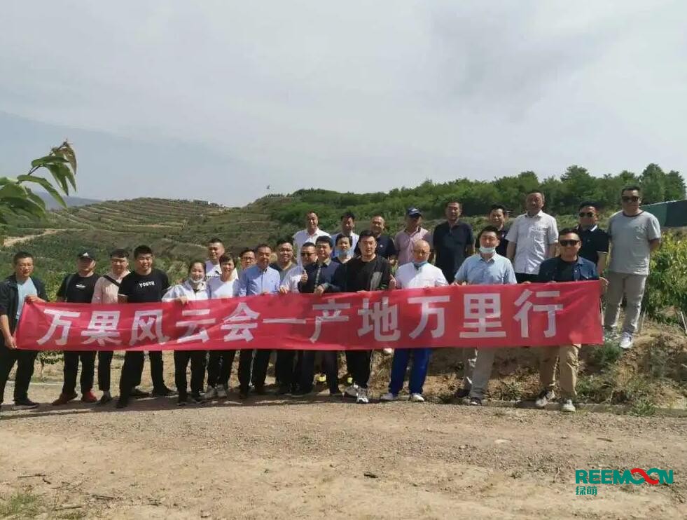綠萌自動(dòng)化櫻桃分選設(shè)備亮相甘肅天水引起各界廣泛關(guān)注 5月29日，綠萌櫻桃自動(dòng)化分揀生產(chǎn)線在甘
