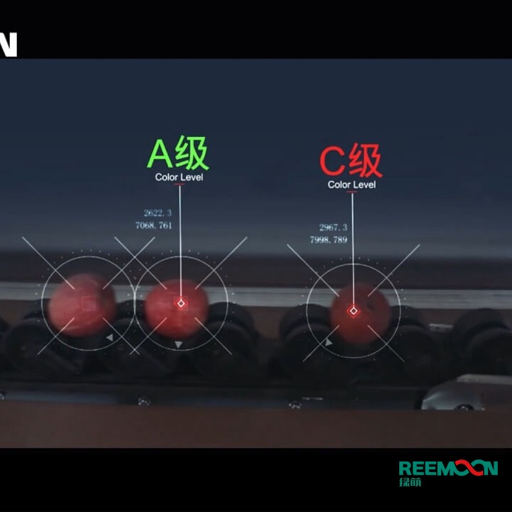 綠萌水果分選機(jī)多少錢？江西綠萌科技控股有限公司廠家直銷報(bào)價(jià)