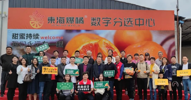 東海爆橘建立綠萌數(shù)字分選中心一陣果汁，細(xì)膩無渣，這橘子臉皮很薄，脾氣“爆”！每年秋冬季節(jié)，市場上各種各樣的橘子層出不窮，有些是黃澄澄的，有些是紅色的，讓人一看就喜歡，每年都買回來。貪心的時候找到一個，手里冰涼。我迫不及待地把它剝下來，迅速放進(jìn)嘴里。那一刻橙汁從我的喉嚨滑落，整個秋冬的干燥被