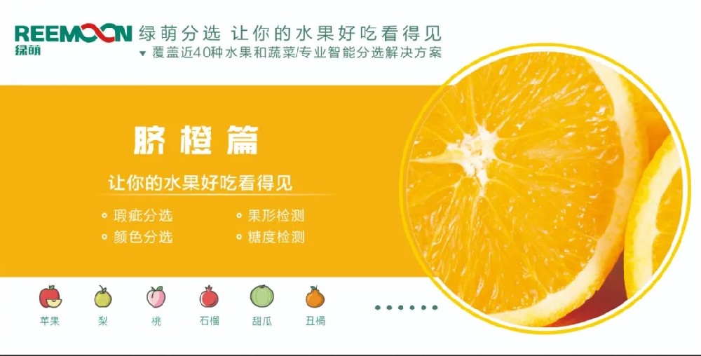 糖度可視化 好吃看得見【臍橙篇】來源：客家新聞網(wǎng)訊 記者何亮報道據(jù)悉，2019年，贛州市臍橙種植面積達(dá)到162萬畝、產(chǎn)量122萬噸，產(chǎn)值129億元。?20多年前，一批和新奇士品質(zhì)相近的贛南臍橙，用低于新奇士一半的價格出售，銷量卻并不見得比新奇士好。如今，贛南臍橙產(chǎn)值129億元，是什么讓贛南臍橙聲名鵲起？綠萌臍橙果表瑕疵