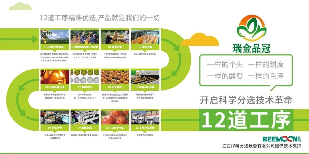 綠萌分選 讓您的水果好吃看得見 2020年11月27日，由瑞金市品冠農(nóng)業(yè)發(fā)展有限公司承辦的2020紅都品冠贛南臍橙以“綠水青山、紅色傳橙”為主題的推介會在沈陽舉行。瑞金品冠圍繞“紅色傳橙、綠色情懷、生態(tài)共建、品牌強農(nóng)”的理念，堅持要把優(yōu)質(zhì)贛南臍橙推介給東北人民，為此，瑞金品冠挑選優(yōu)質(zhì)臍橙果園基地