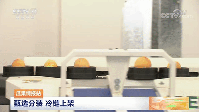 連線采訪＋現(xiàn)場(chǎng)直播7月20日CCTV農(nóng)業(yè)農(nóng)村頻道、央視頻APP深度報(bào)道湖北老河口黃桃產(chǎn)業(yè)發(fā)展情況綠萌作為果蔬智能科技分選企業(yè)憑借AI（人工智能）算法以及光譜技術(shù)為老河口黃桃產(chǎn)業(yè)賦能而亮相央視在此之前綠萌因?yàn)橹袊?guó)果蔬采后標(biāo)準(zhǔn)建設(shè)賦能已經(jīng)多次亮相于央視黃桃作為老河口的“富農(nóng)果”，身肩重任。全市3.5萬(wàn)畝黃桃如何打造價(jià)格
