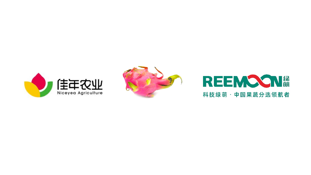 “廣西  佳年農業(yè) 火龍果