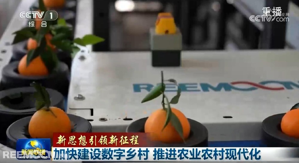 又又又上央視了2025開(kāi)年見(jiàn)喜綠萌在半月之內(nèi)兩次登上《新聞聯(lián)播》2025年1月1日央視《新聞聯(lián)播》聚焦《甘肅省天水市麥積區(qū)南山花牛蘋果》其中一組畫面中綠萌蘋果雙通道分選線上鏡這條分揀線對(duì)蘋果的大小、色澤、瑕疵、糖度、霉心等指標(biāo)進(jìn)行精準(zhǔn)檢測(cè)分級(jí)助推花牛蘋果做大做強(qiáng)助力果農(nóng)增收致富10