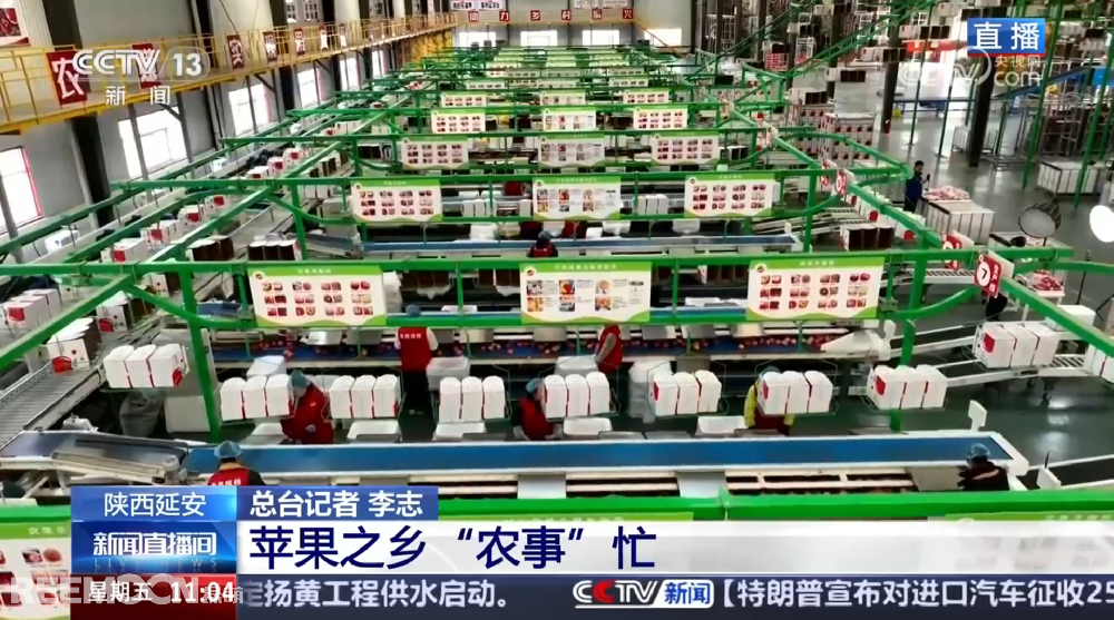 春天是希望的季節(jié)陜西延安是我國蘋果的優(yōu)生區(qū)和主產(chǎn)區(qū)蘋果之鄉(xiāng)正呈現(xiàn)出一片繁忙的景象3月28日，CCTV13新聞?lì)l道聚焦陜西延安蘋果產(chǎn)業(yè)發(fā)展展現(xiàn)中國農(nóng)業(yè)現(xiàn)代化與鄉(xiāng)村振興的生動實(shí)踐PART.01智能分選線：給蘋果做“體檢”，助力果農(nóng)增收致富延安甘泉縣分揀車間內(nèi)綠萌智能分選設(shè)備高效運(yùn)轉(zhuǎn)通過人工智能和圖像處理技術(shù)對傳送帶上的