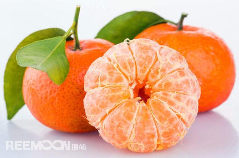 近幾年，砂糖橘逐漸跌落“神壇”，價(jià)格急速下滑。產(chǎn)能過(guò)剩、集中上市、競(jìng)爭(zhēng)增大......不少問(wèn)題圍繞著砂糖橘產(chǎn)業(yè)的發(fā)展。難道真的就要走向末路了嗎？砂糖橘口感清甜似砂糖，入口即化，富含維生素、葡萄糖、胡蘿卜素等多種營(yíng)養(yǎng)元素，且市場(chǎng)歡迎度高、老少皆宜，擁有廣闊的市場(chǎng)空間。近年來(lái)砂糖橘價(jià)格一路低走，產(chǎn)業(yè)模式的問(wèn)題